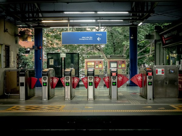 Comment organiser un camping pour observer les étoiles filantes en août?